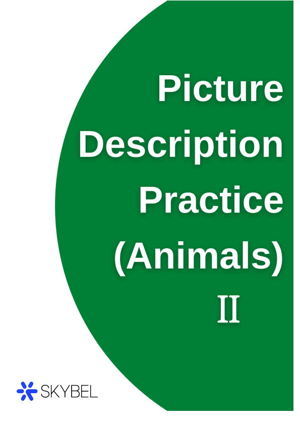 스카이벨영어, 아이엘츠, 아이엘츠 스피킹, 아이엘츠 화상영어, 아이엘츠 전화영어, 전화영어, 화상영어, 영어회화