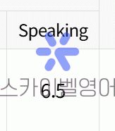 아이엘츠 Speaking 6.5 달성! - 화상영어 후기 | 스카이벨