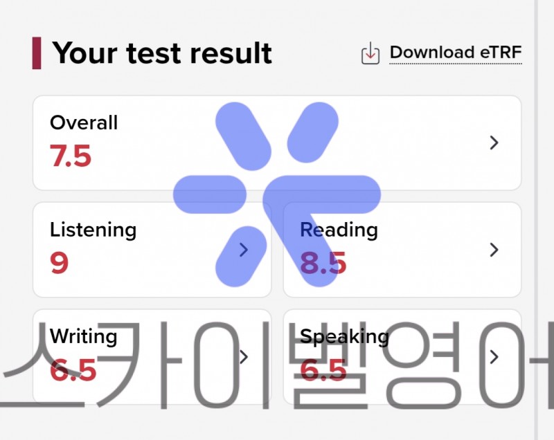 아이엘츠 첫 도전 6.5 달성~! Lily, Nesia선생님 감사합니다~^^! - 화상영어 후기 | 스카이벨